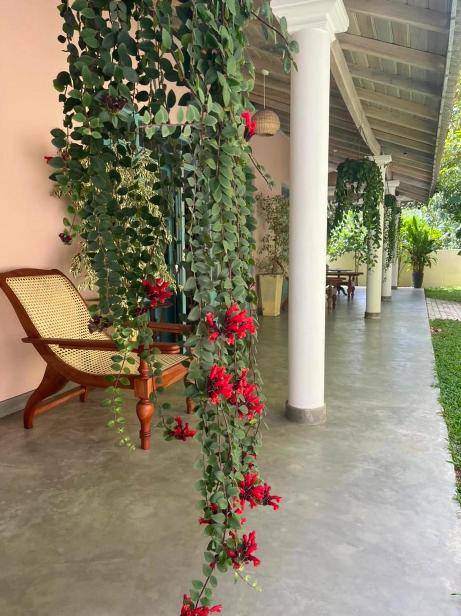Ronaya Surf Waves Villa ดิคเวลลา ภายนอก รูปภาพ