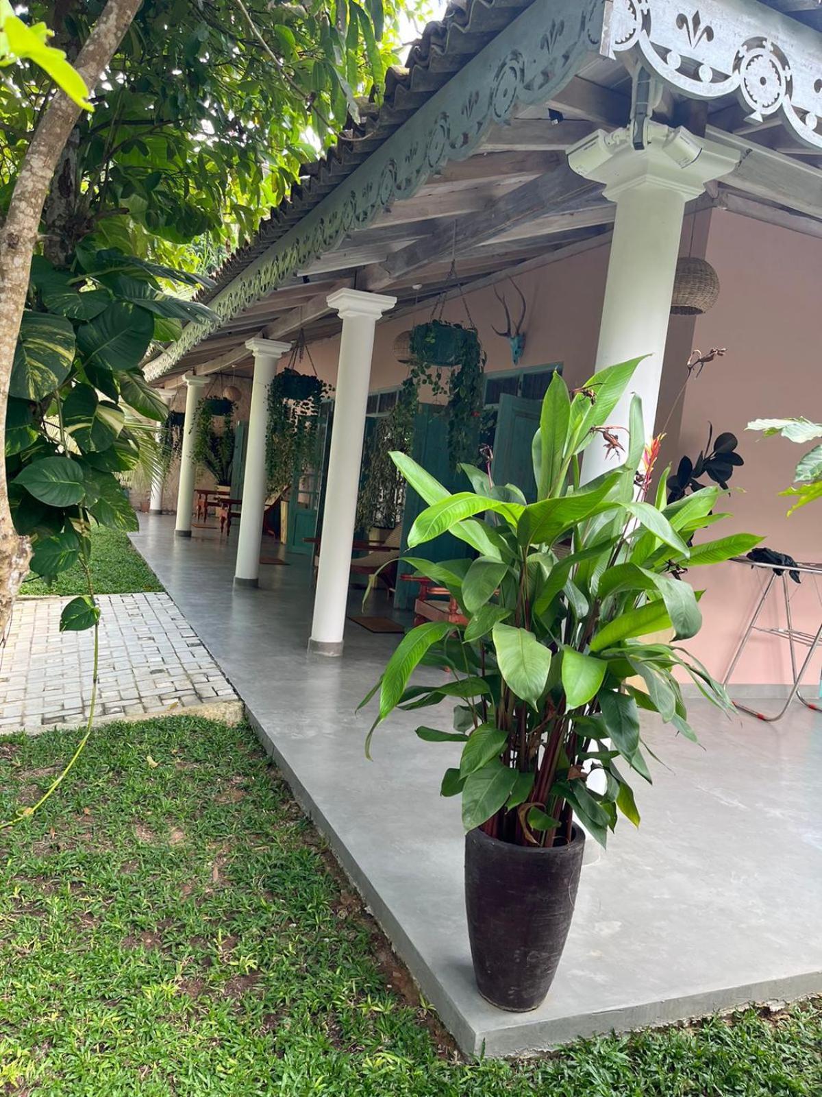Ronaya Surf Waves Villa ดิคเวลลา ภายนอก รูปภาพ
